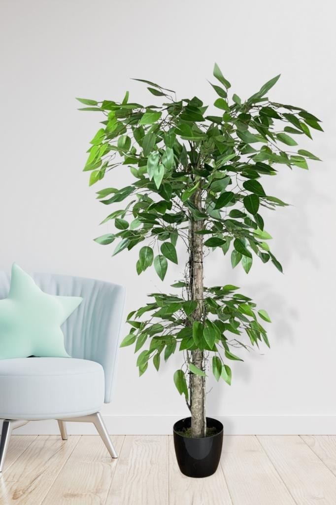 Yapay Ağaç Benjamin 2 Gövdeli Çalılı 2 Katlı 120x70cm Siyah Plastik Saksılı