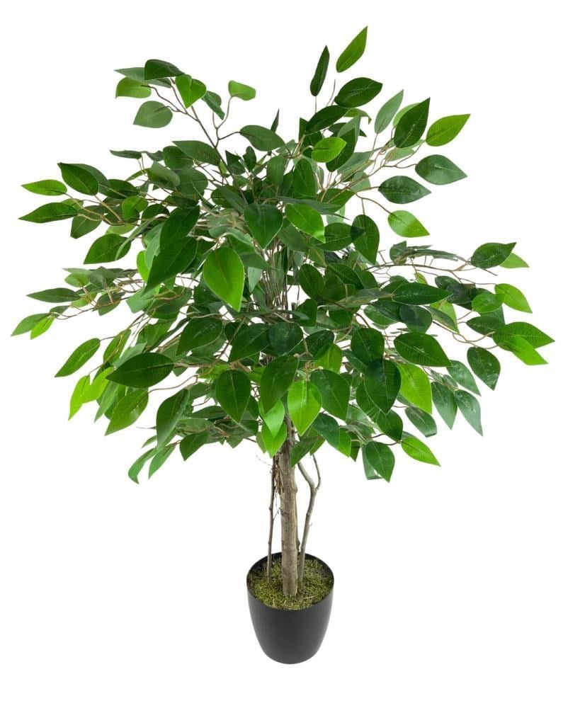 Yapay Ağaç Benjamin 2 Gövdeli Çalılı 90*60cm Siyah Plastik Saksılı