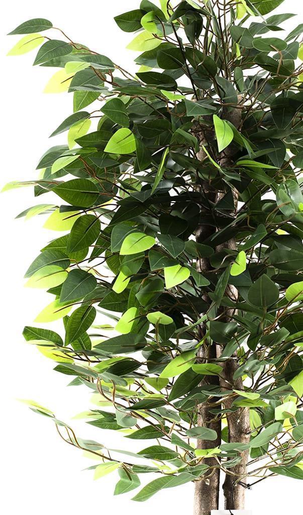 Yapay Ağaç Benjamin Yeşil 2 Gövdeli 110*70cm Siyah Plastik Saksılı