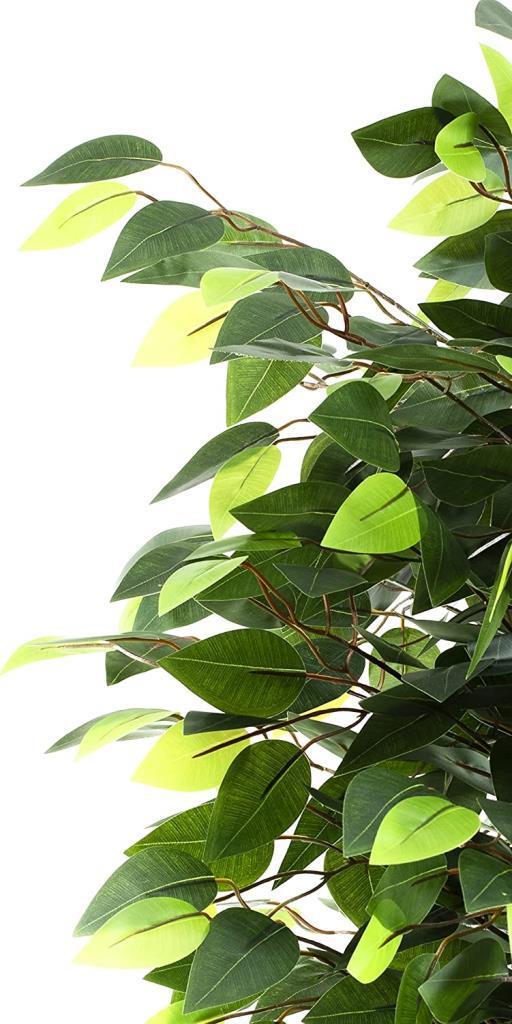 Yapay Ağaç Benjamin Yeşil 2 Gövdeli 110*70cm Siyah Plastik Saksılı