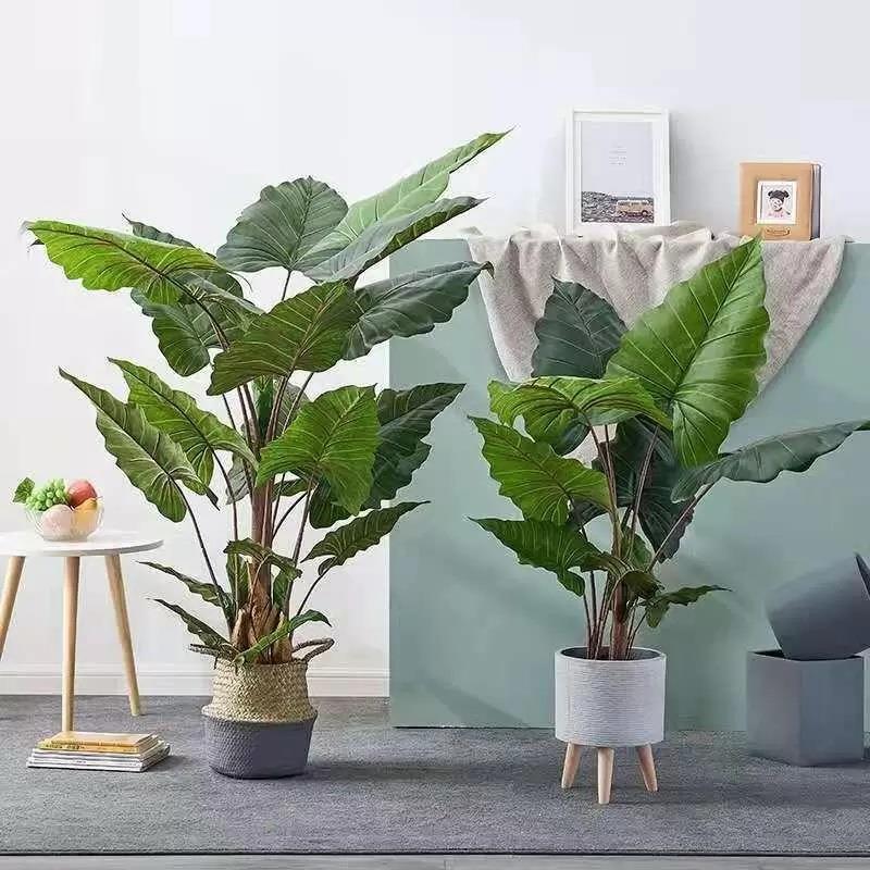 Yapay Ağaç Dev Fil Kulağı Taro Ağacı 150 cm 20 yaprak