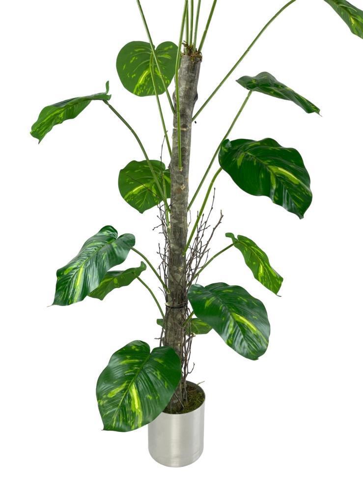 Yapay Ağaç Difenbahya Tropik 18 Dallı Çalılı Gövde 120x60cm Gümüş Aleminyum Saksıda