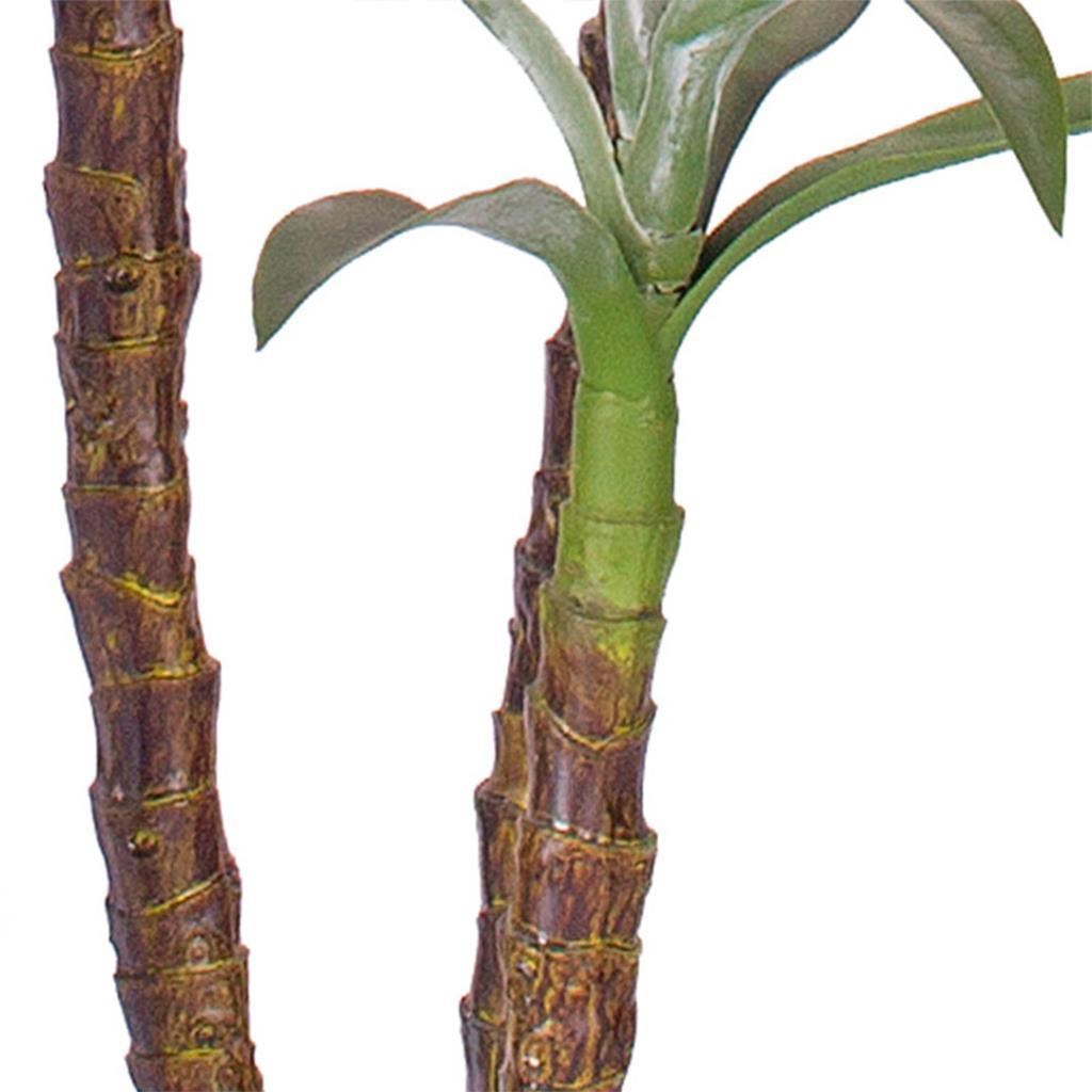 Yapay Ağaç Dracaena Ağacı 4Gövdeli 180 cm Premium Kalite