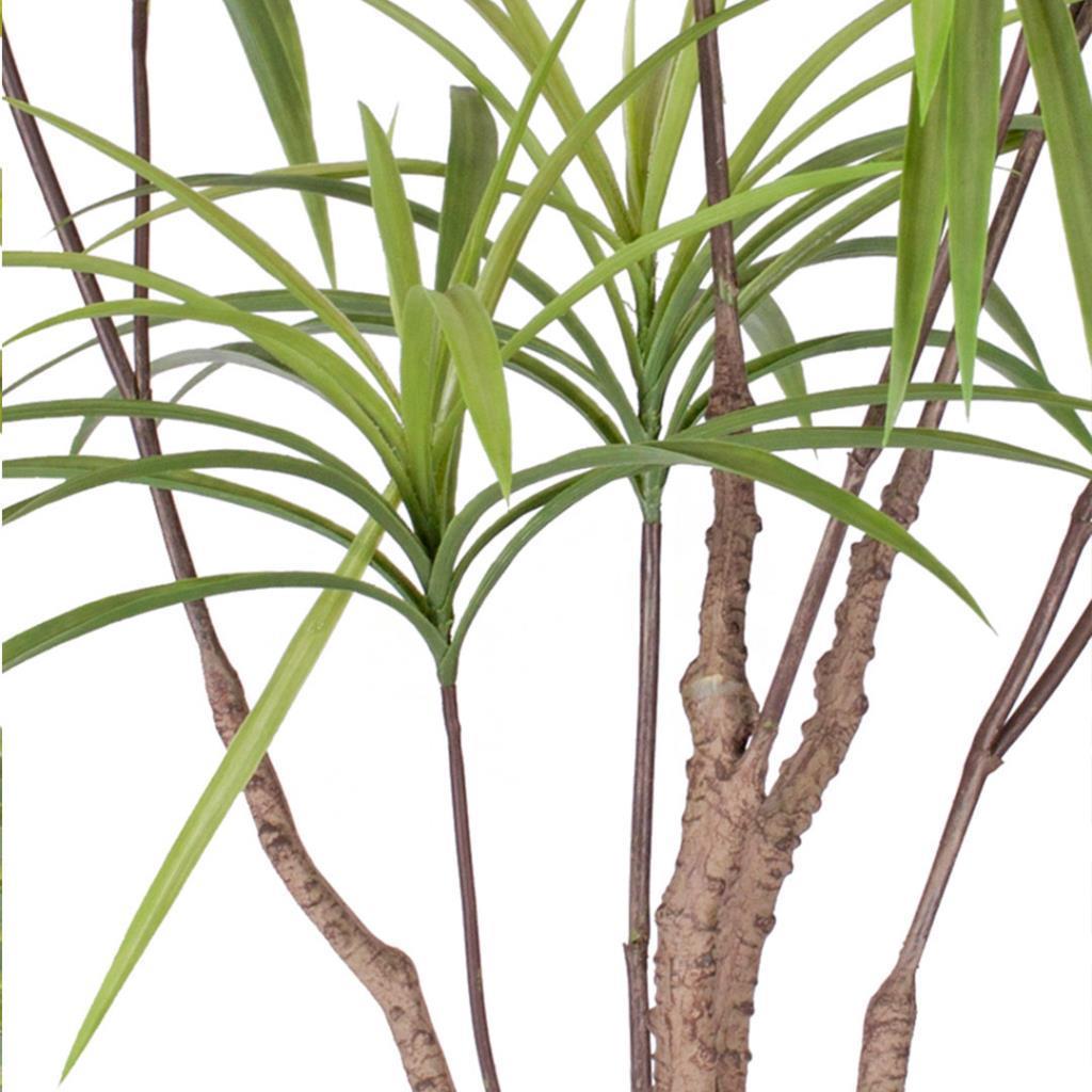 Yapay Ağaç Dracaena Ağacı 8Gövdeli 180cm Premium Kalite