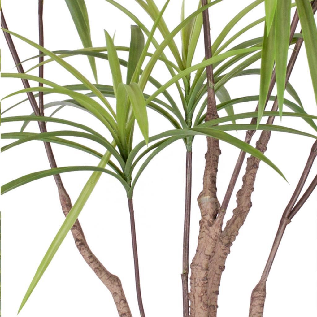 Yapay Ağaç Dracaena Ağacı 8Gövdeli 180cm Premium Kalite