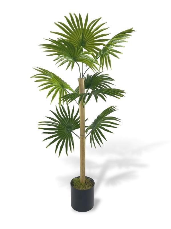 Yapay Ağaç Fanpalm 8Yaprak 85*45cm Yelpaze Palmiye Siyah Aleminyum Saksı