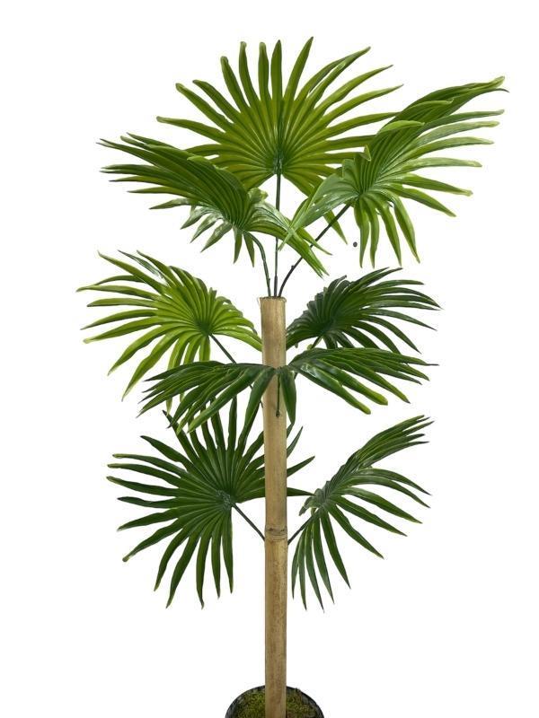 Yapay Ağaç Fanpalm 8Yaprak 85*45cm Yelpaze Palmiye Siyah Aleminyum Saksı