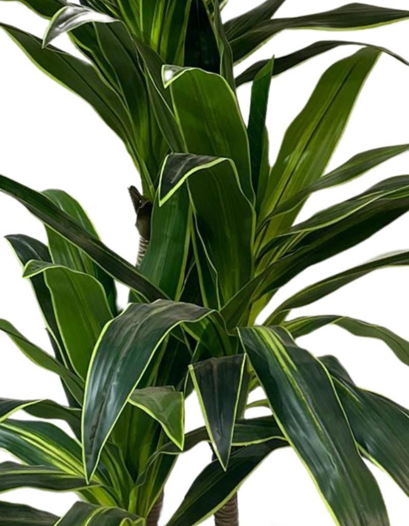 Yapay Ağaç İthal Yukka Kılıç Ağacı Yeşil 3 Gödeli 170cm 