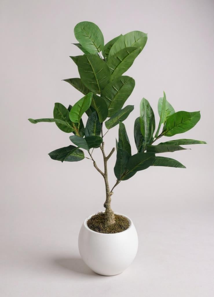 Yapay Ağaç Kauçuk Ağacı Beyaz Küre Saksıda 100*50cm