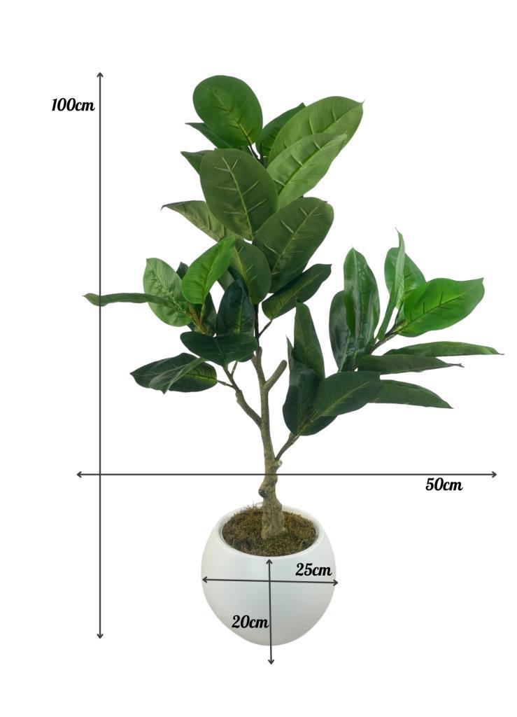 Yapay Ağaç Kauçuk Ağacı Beyaz Küre Saksıda 100*50cm