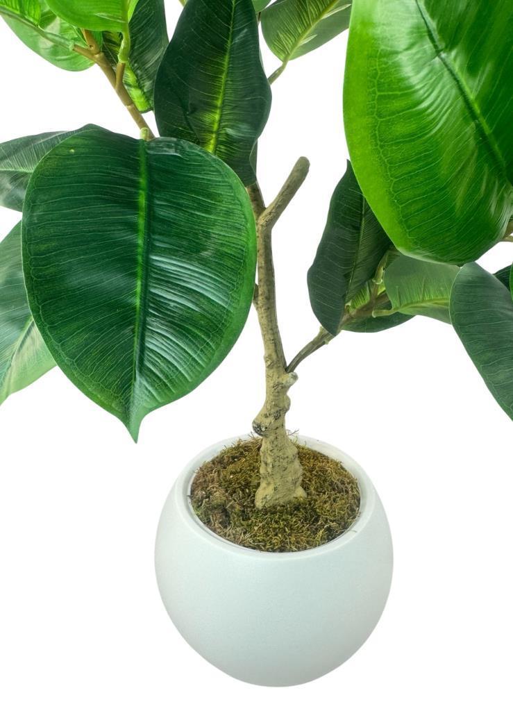 Yapay Ağaç Kauçuk Ağacı Beyaz Küre Saksıda 100*50cm