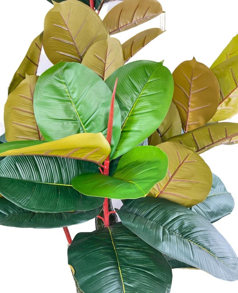 Yapay Ağaç Kauçuk Ağacı Ficus Elastica  Salon Çiçeği 150*90 Doğal Gövdeli 61 Yaprak