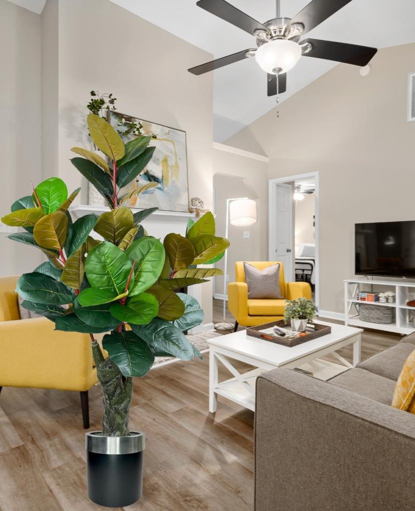 Yapay Ağaç Kauçuk Ağacı Metal Gümüş Kemerli Saksıda Ficus Elastica Salon Çiçeği 150*90 61 Yaprak