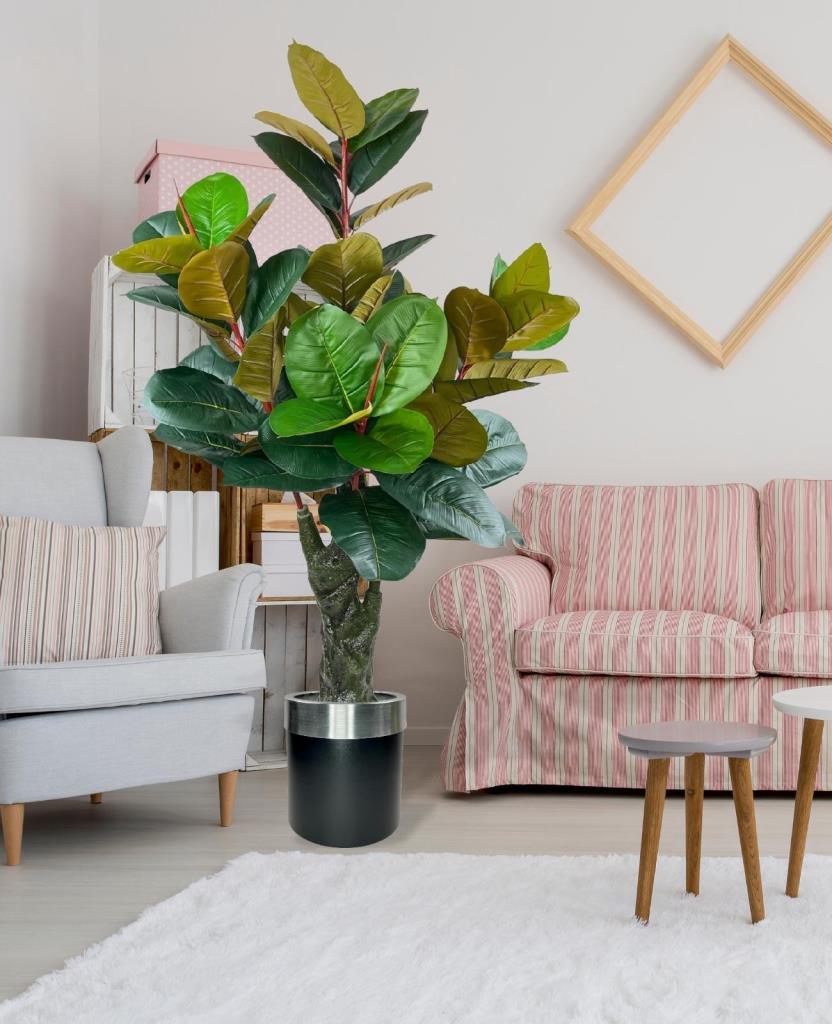 Yapay Ağaç Kauçuk Ağacı Metal Gümüş Kemerli Saksıda Ficus Elastica Salon Çiçeği 150*90 61 Yaprak