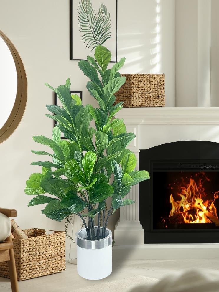 Yapay Ağaç Keman Yapraklı Kavuçuk Yeşil Salon Bitkisi Beyaz Gümüş Galvaniz Saksıda 140cm