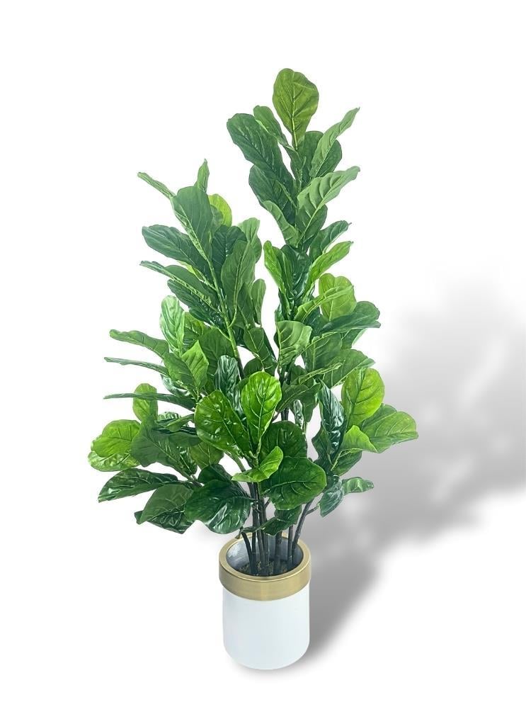 Yapay Ağaç Keman Yapraklı Kavuçuk Yeşil Salon Bitkisi Beyaz Gold Galvaniz Saksıda 140cm