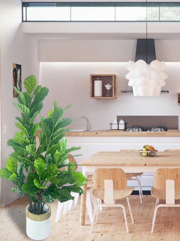 Yapay Ağaç Keman Yapraklı Kavuçuk Yeşil Salon Bitkisi Beyaz Gold Galvaniz Saksıda 140cm