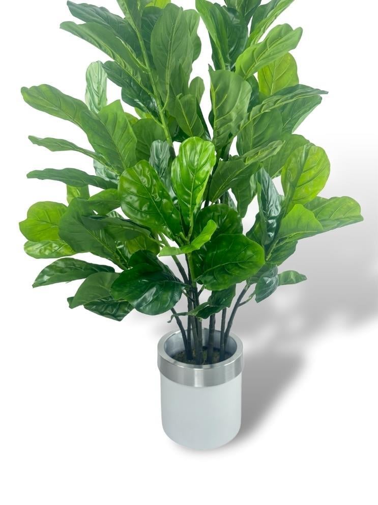 Yapay Ağaç Keman Yapraklı Kavuçuk Yeşil Salon Bitkisi Beyaz Gümüş Galvaniz Saksıda 140cm