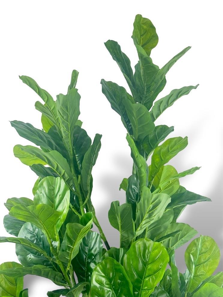 Yapay Ağaç Keman Yapraklı Kavuçuk Yeşil Salon Bitkisi Beyaz Gold Galvaniz Saksıda 140cm