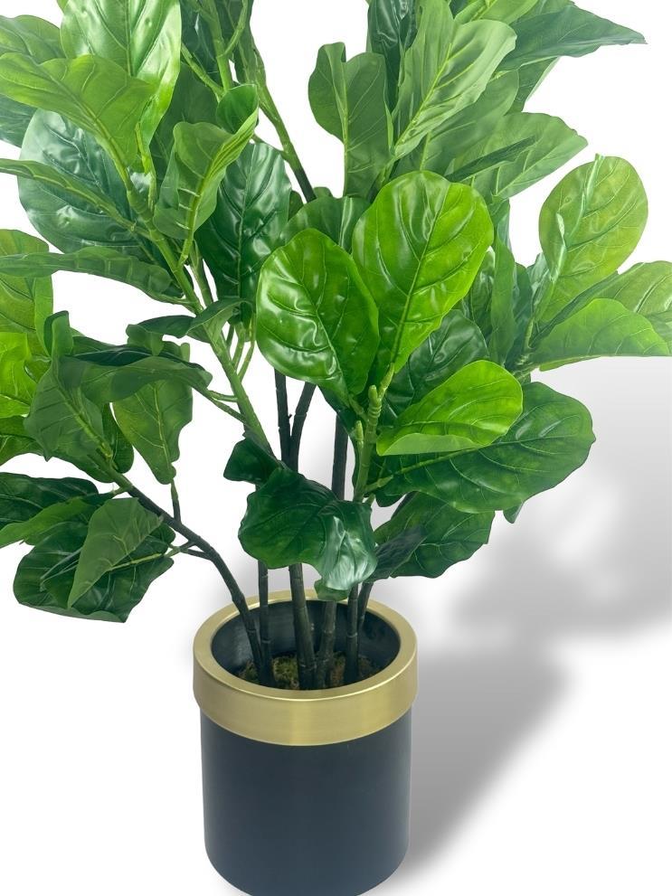 Yapay Ağaç Keman Yapraklı Kavuçuk Yeşil Salon Bitkisi Siyah Gold Galvaniz Saksıda 140cm