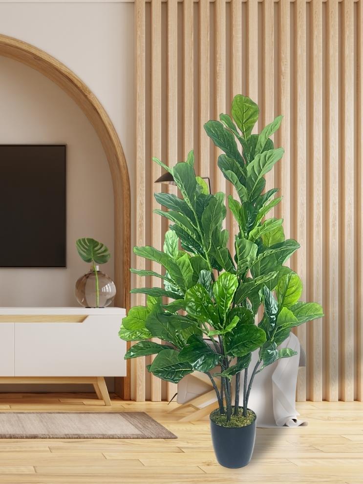 Yapay Ağaç Keman Yapraklı Kavuçuk Yeşil Salon Bitkisi Siyah Saksıda 140cm