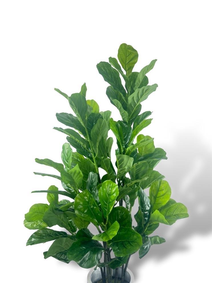 Yapay Ağaç Keman Yapraklı Kavuçuk Yeşil Salon Bitkisi Beyaz Gümüş Galvaniz Saksıda 140cm