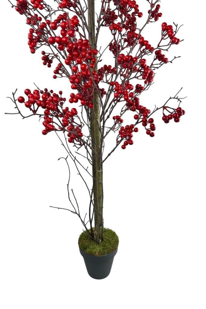 Yapay Ağaç Kokina Ağacı 150CM Doğal Görünümlü 7dallı  