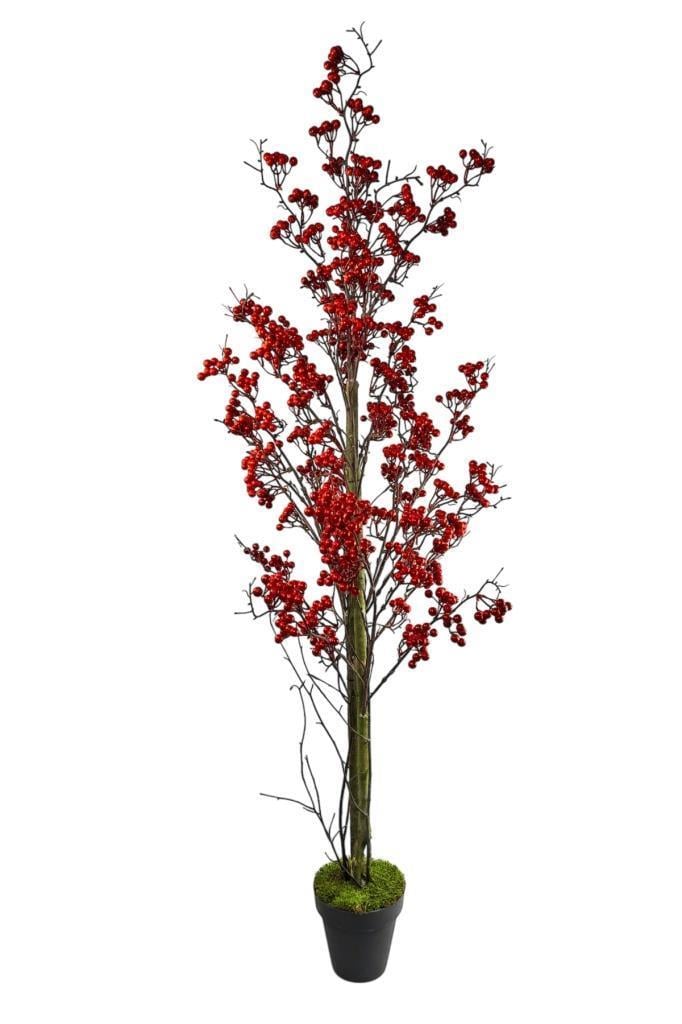 Yapay Ağaç Kokina Ağacı 150CM Doğal Görünümlü 7dallı  