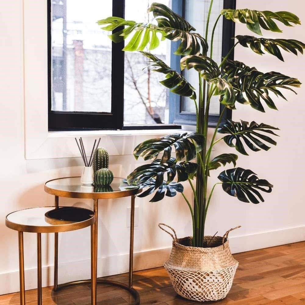 Yapay Ağaç Monstera Deve Tabanı Ağacı 170 cm 11 Yaprak