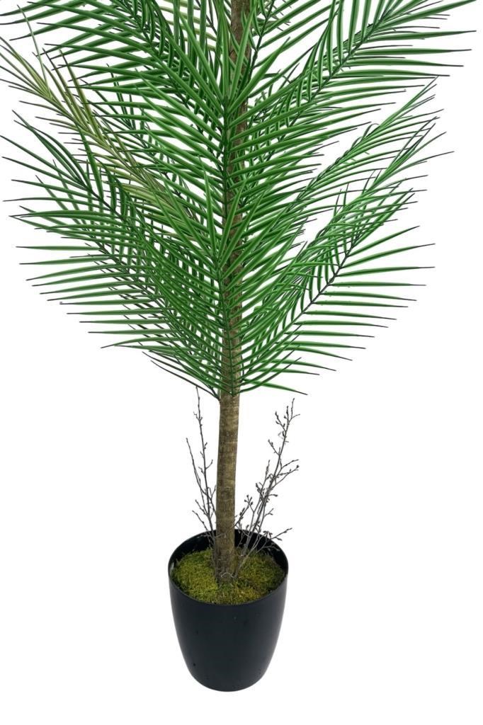 Yapay Ağaç Palmiye 155*50Cm 30Yaprak Areka Ağacı Siyah Saksıda Tek Gövdeli
