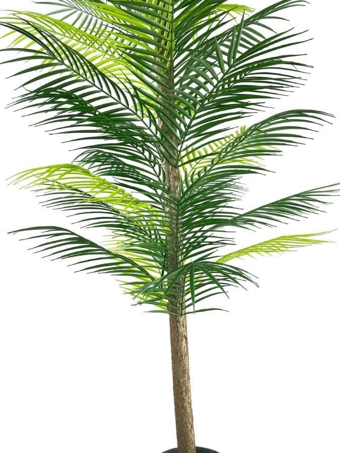 Yapay Ağaç Palmiye 160*70Cm 36 Yaprak Areka Ağacı Siyah Saksıda Tek Gövdeli