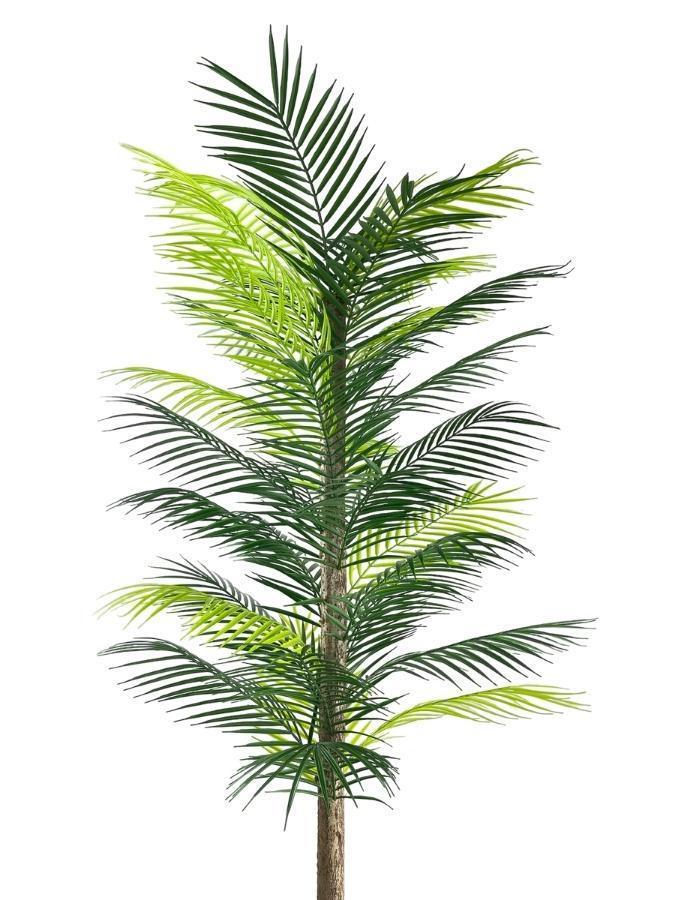 Yapay Ağaç Palmiye 160*70Cm 36 Yaprak Areka Ağacı Siyah Saksıda Tek Gövdeli