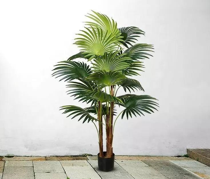 Yapay Ağaç Palmiye Ağacı 180cm Dev Fanpalm Ağacı 13 Yaprak