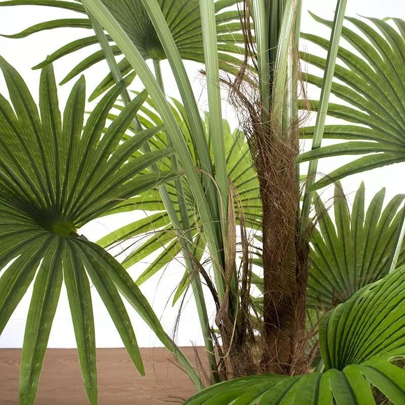 Yapay Ağaç Palmiye Ağacı 180cm Dev Fanpalm Ağacı 13 Yaprak