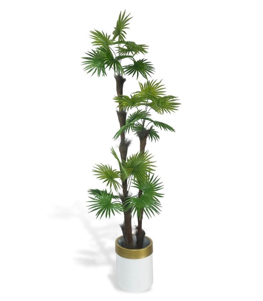 Yapay Ağaç Palmiye Fanpalm 3Katlı 24Yaprak Gold Kemerli Beyaz Saksıda 165*65cm