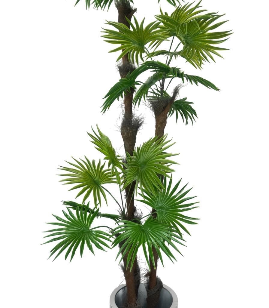 Yapay Ağaç Palmiye Fanpalm 3Katlı 24Yaprak Gümüş Kemerli Beyaz Saksıda 165*65cm