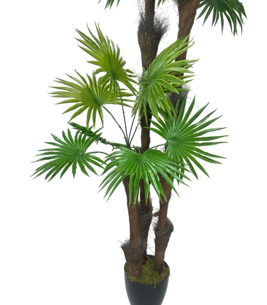 Yapay Ağaç Palmiye Fanpalm 3Katlı 24Yaprak Siyah Plastik Saksıda 165*65cm