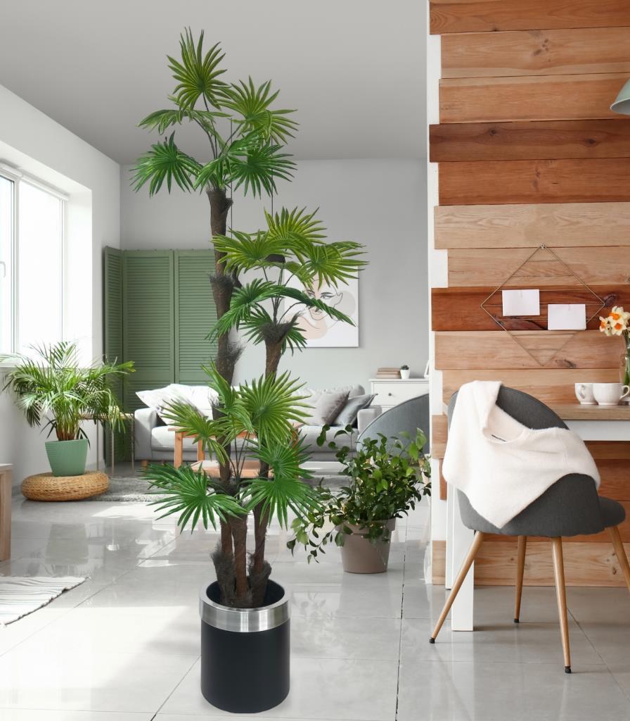 Yapay Ağaç Palmiye Fanpalm 3Katlı 24Yaprak Gümüş Kemerli Siyah Saksıda 165*65cm