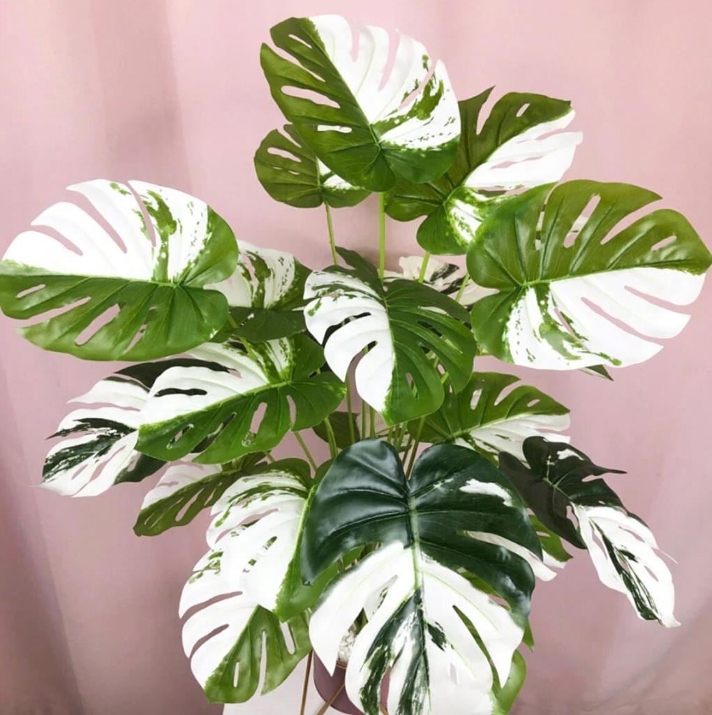 Yapay Ağaç Salon Bitkisi Beyaz Monstera 70 cm 18 Yaprak Antrasit Saksıda Deve Tabanı 