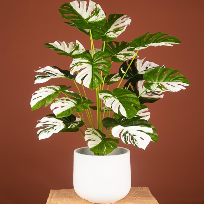 Yapay Ağaç Salon Bitkisi Beyaz Monstera 70 cm 18 Yaprak Antrasit Saksıda Deve Tabanı 