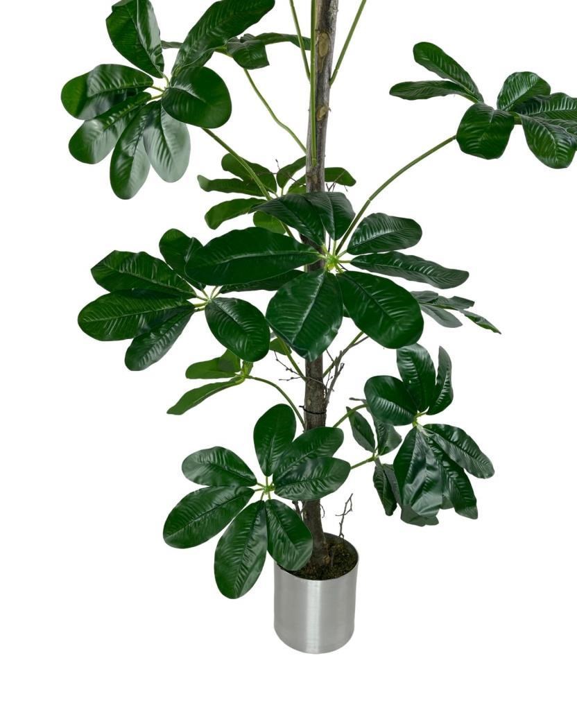 Yapay Ağaç Şeflera 18 Dallı Çalılı Gövde 120x60cm Gümüş Aleminyum Saksıda