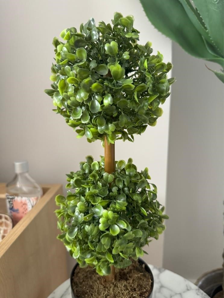 Yapay Ağaç Şimşir Top 2 Toplu 12x40cm Siyah Saksıda 
