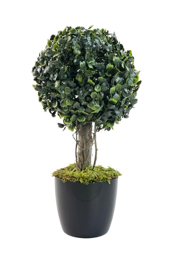 Yapay Ağaç Şimşir Top Tek Toplu 18x35cm Siyah Saksılı 