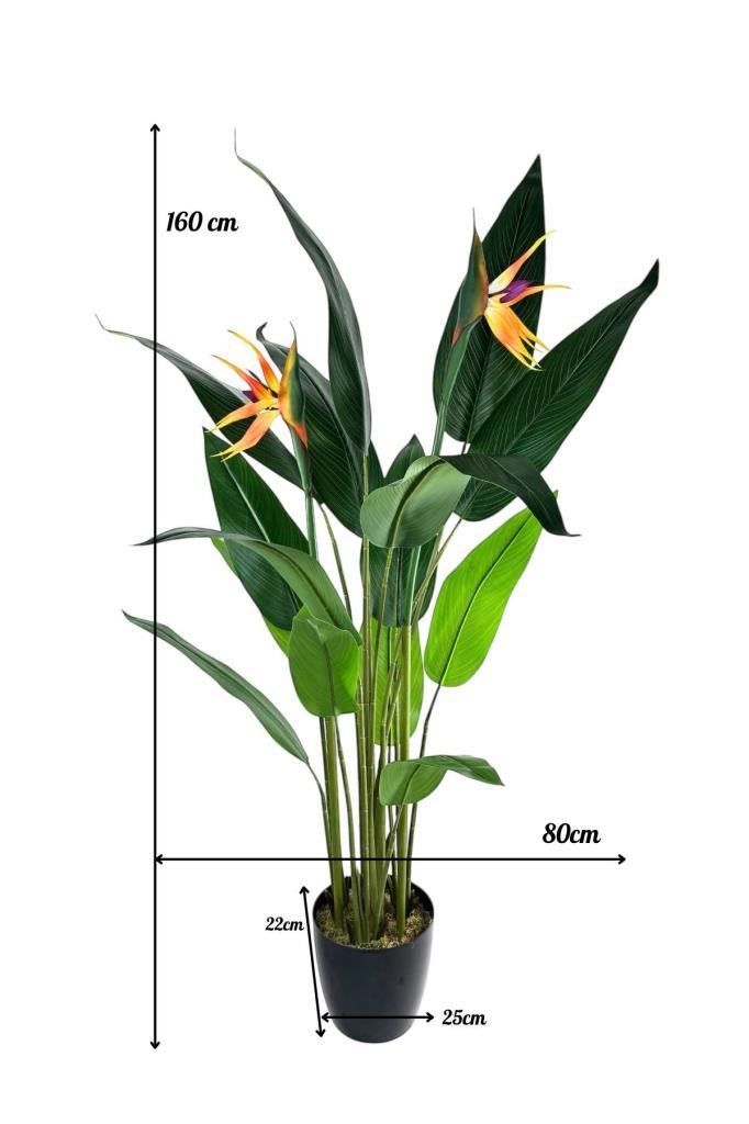 Yapay Ağaç Starliçe 160cm Horoz İbiği Çiçekli Bird of Paradise Artificial Plants