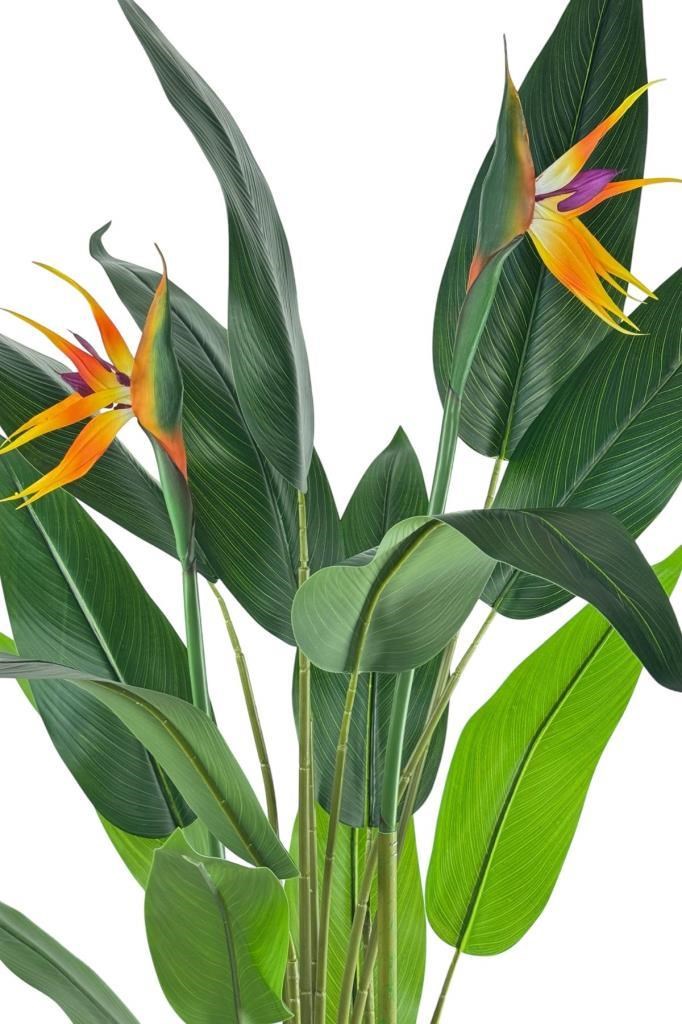 Yapay Ağaç Starliçe 160cm Horoz İbiği Çiçekli Bird of Paradise Artificial Plants