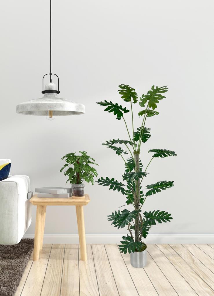 Yapay Ağaç Syngonium plants 18 Dallı Çalılı Gövde 120x60cm Gümüş Aleminyum Saksıda