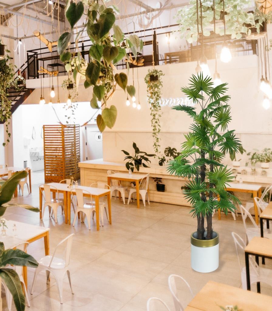 Yapay Ağaç Yelpaze Palmiye 4Katlı Fanpalm 32 Yaprak Altın Kemerli Beyaz Saksıda 170*65cm