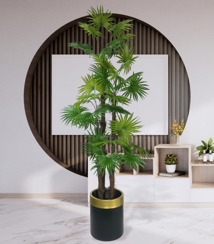 Yapay Ağaç Yelpaze Palmiye 4Katlı Fanpalm 32 Yaprak Altın Kemerli Siyah Saksıda 170*65cm