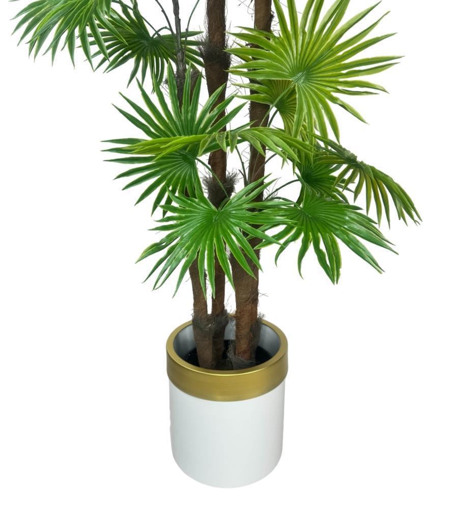 Yapay Ağaç Yelpaze Palmiye 4Katlı Fanpalm 32 Yaprak Altın Kemerli Beyaz Saksıda 170*65cm