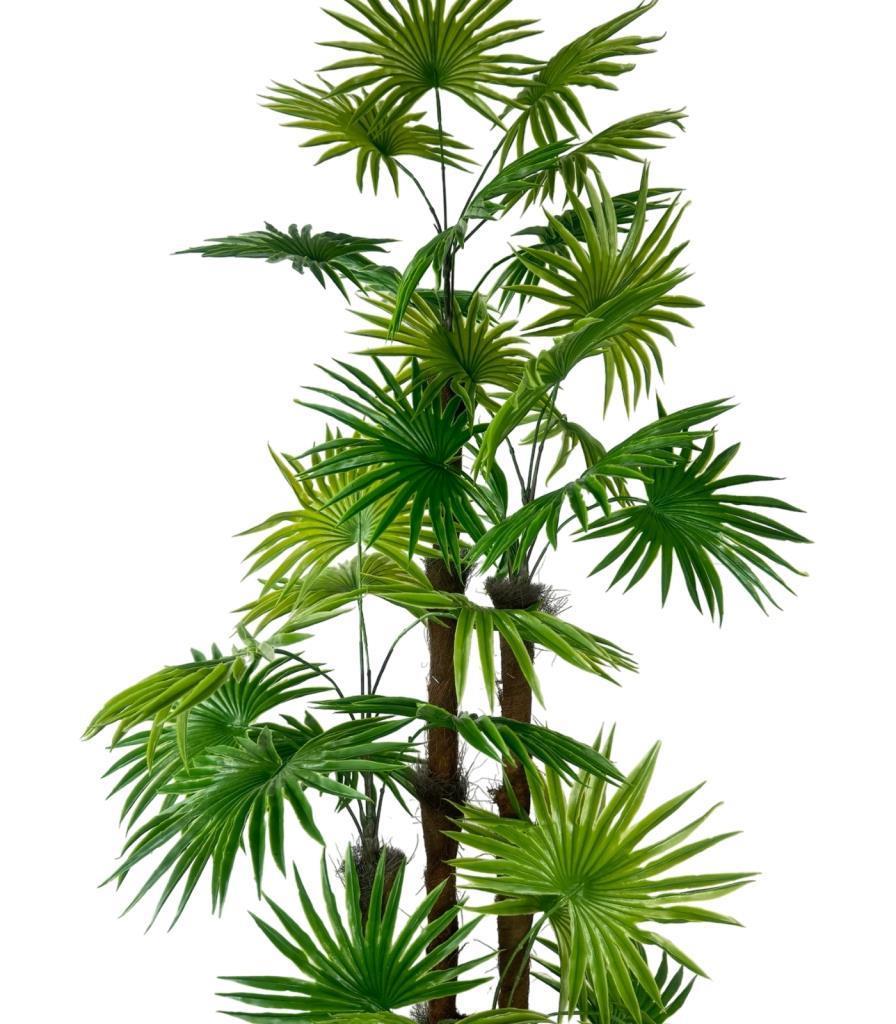 Yapay Ağaç Yelpaze Palmiye 4Katlı Fanpalm 32 Yaprak Gümüş Kemerli Beyaz Saksıda 170*65cm